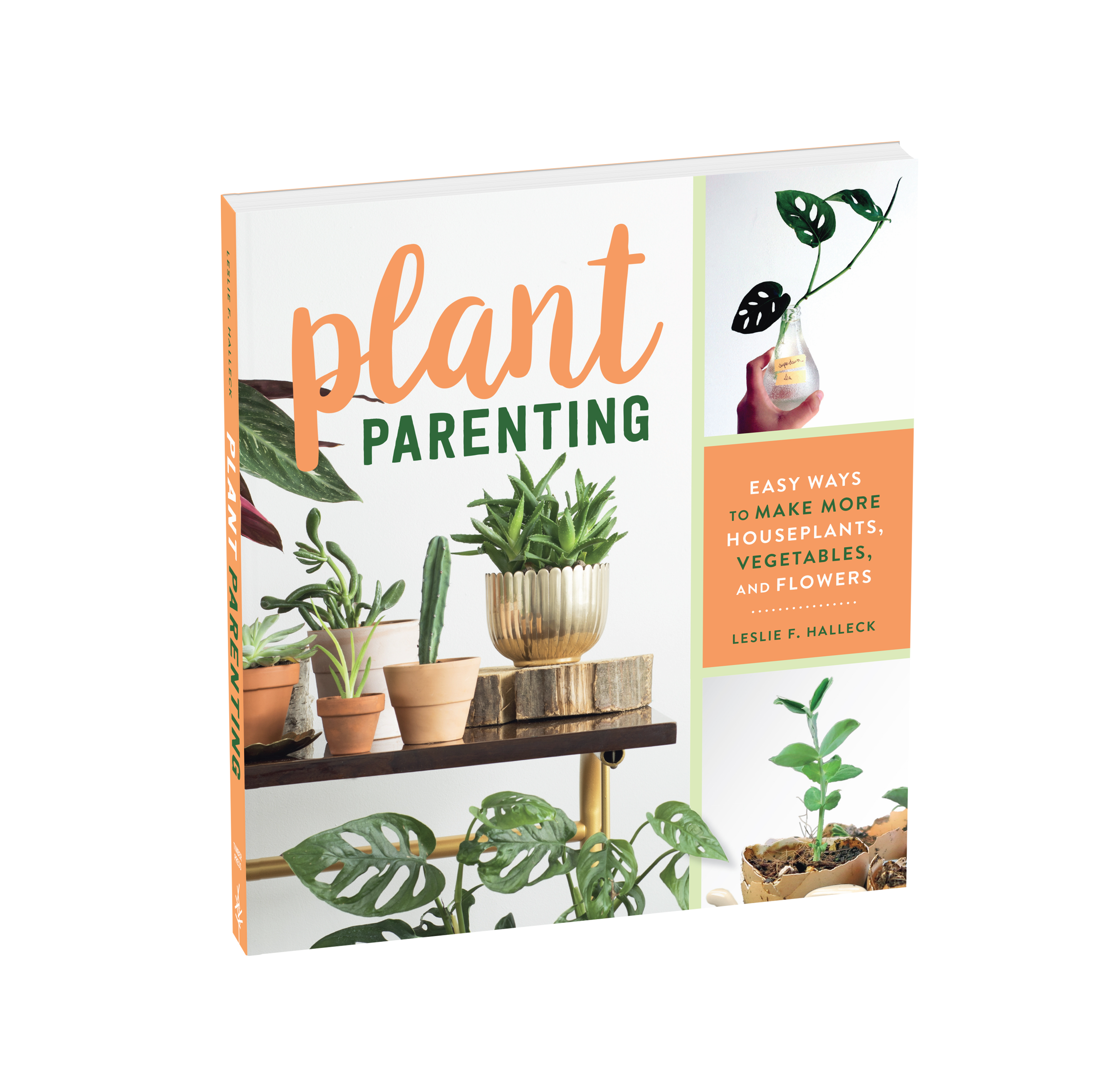 Plant Parenting